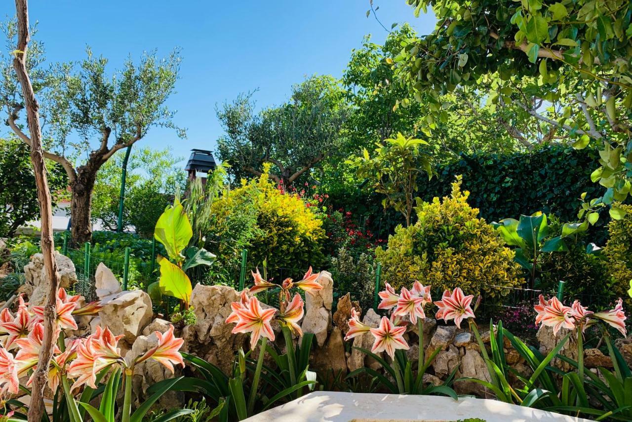 Apartments Villa Ra Zaboric Luaran gambar